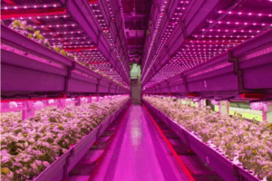 Automated Farming